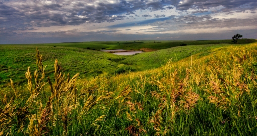 Kansas Flint Hills