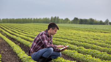 farmer, soybean, field, agriculture