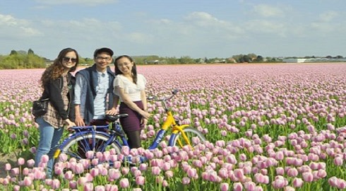 chuyen di lai o delft