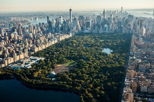 Aerial view of the huge Central Park in New York, with endless green trees beside endless skyscraping buildings