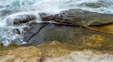 Why study physical geography?