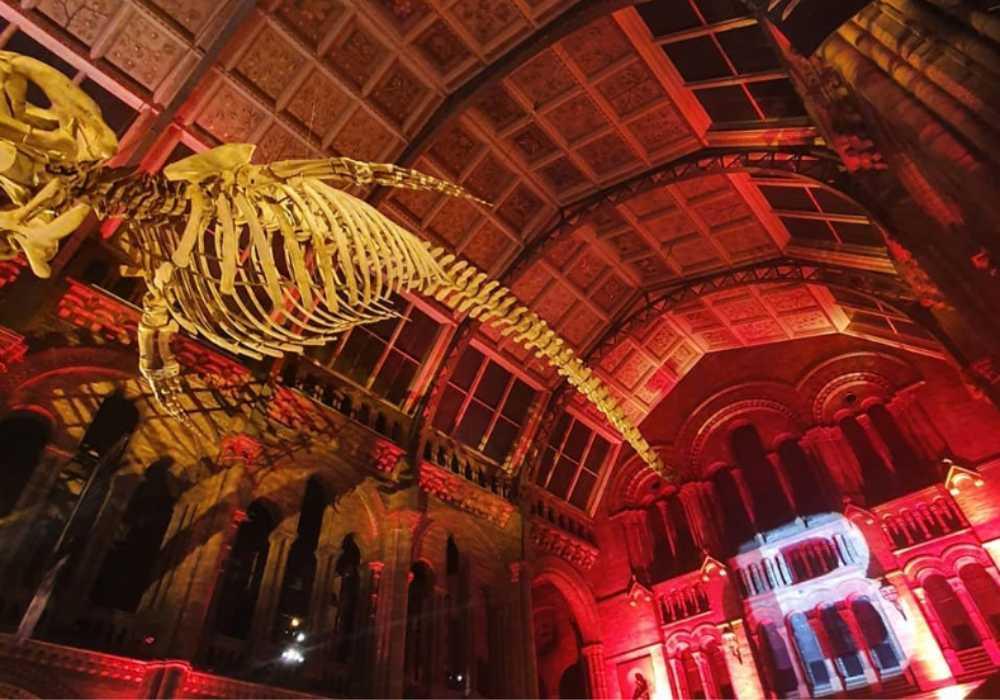 natural history museum jadi tempat orientasi mahasiswa