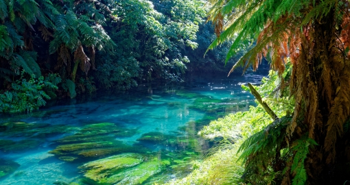 otago park