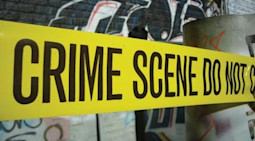 Study Criminology Abroad