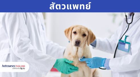 คณะสัตวแพทย์