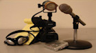 Media and Mass Communications