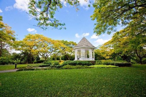 Singapore Botanic Gardens, tempat belajar instagrammable di Singapura - Hotcourses Indonesia