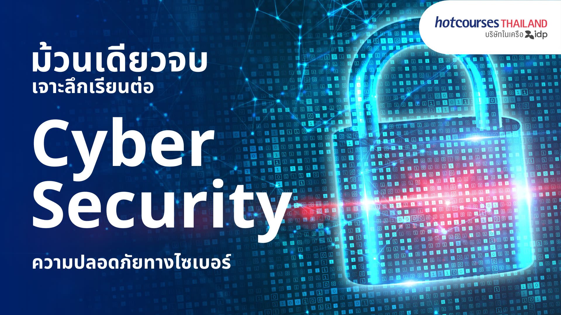 all about studying cyber security degree
