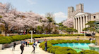 How to apply to study in South Korea