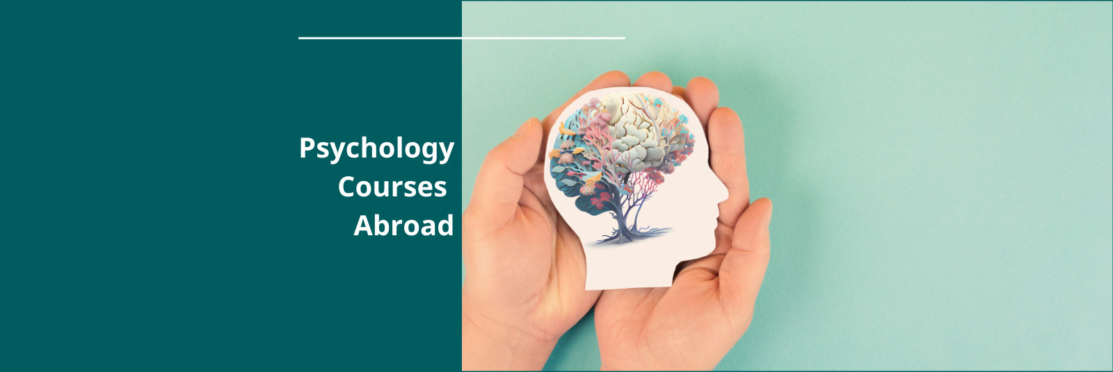 Best country for Psychology