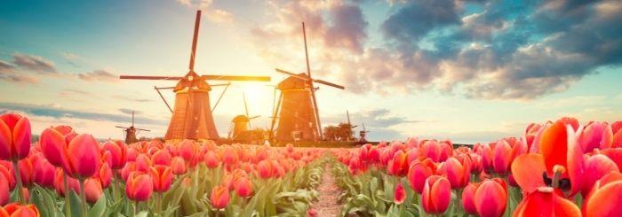 Belanda: negara terbahagia nomor 5 di dunia - Hotcourses indonesia