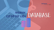 Ngành Quản trị cơ sở dữ liệu: Học gì, học ở đâu và cơ hội nghề nghiệp