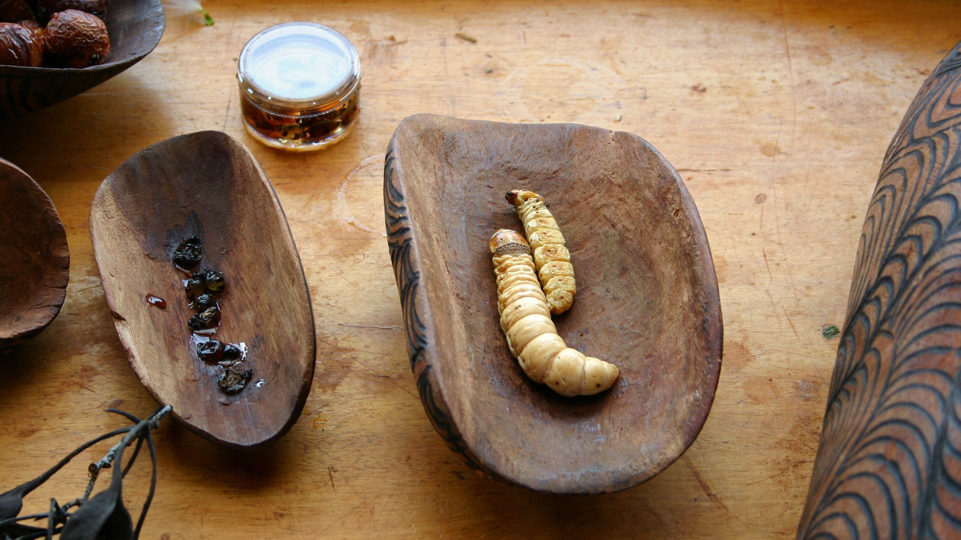 Bush Food Aborigine อาหารป่าพื้นเมืองชาวอะบอริจิน ในออสเตรเลีย