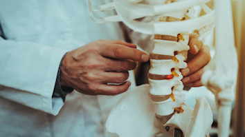 Doctor Holding and Showing Vertebrae on Skeleton