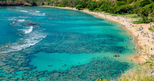 Summer in Hawaii