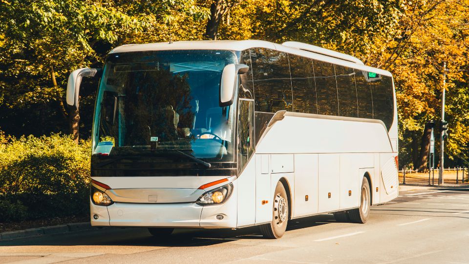 coach bus Australia เดินทางโดยรถบัสในออสเตรเลีย