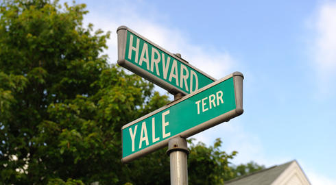 Harvard mı, Yale mi?