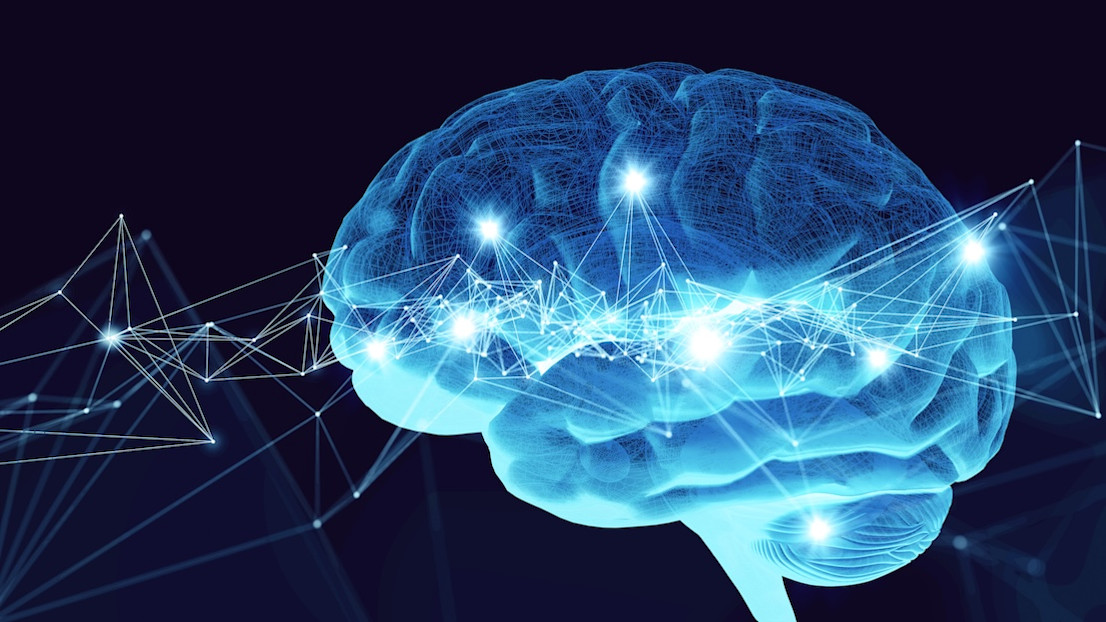 Image of the brain