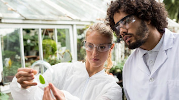 Colleagues inspecting leaf on petri dish