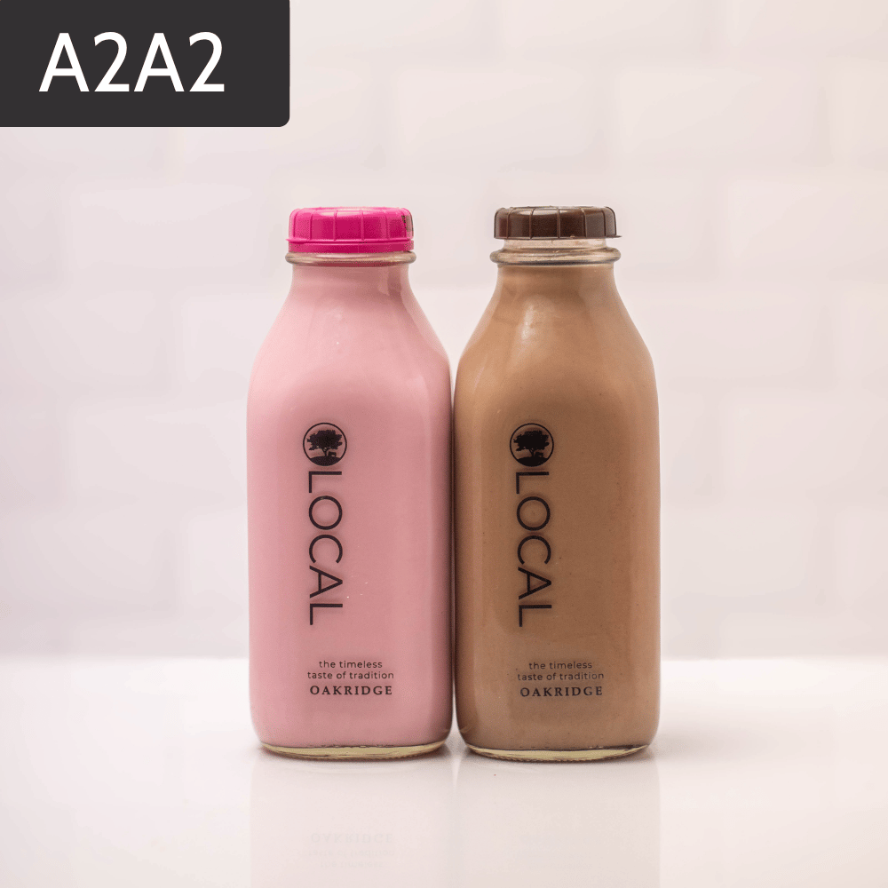 Chocolate Strawberry Milk Bundle | Modern Milkman