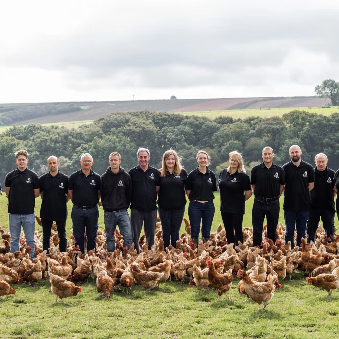 St. Ewe Free Range Eggs