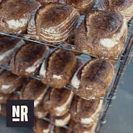 Northern Rye