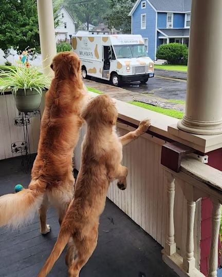 undefinedSocial image