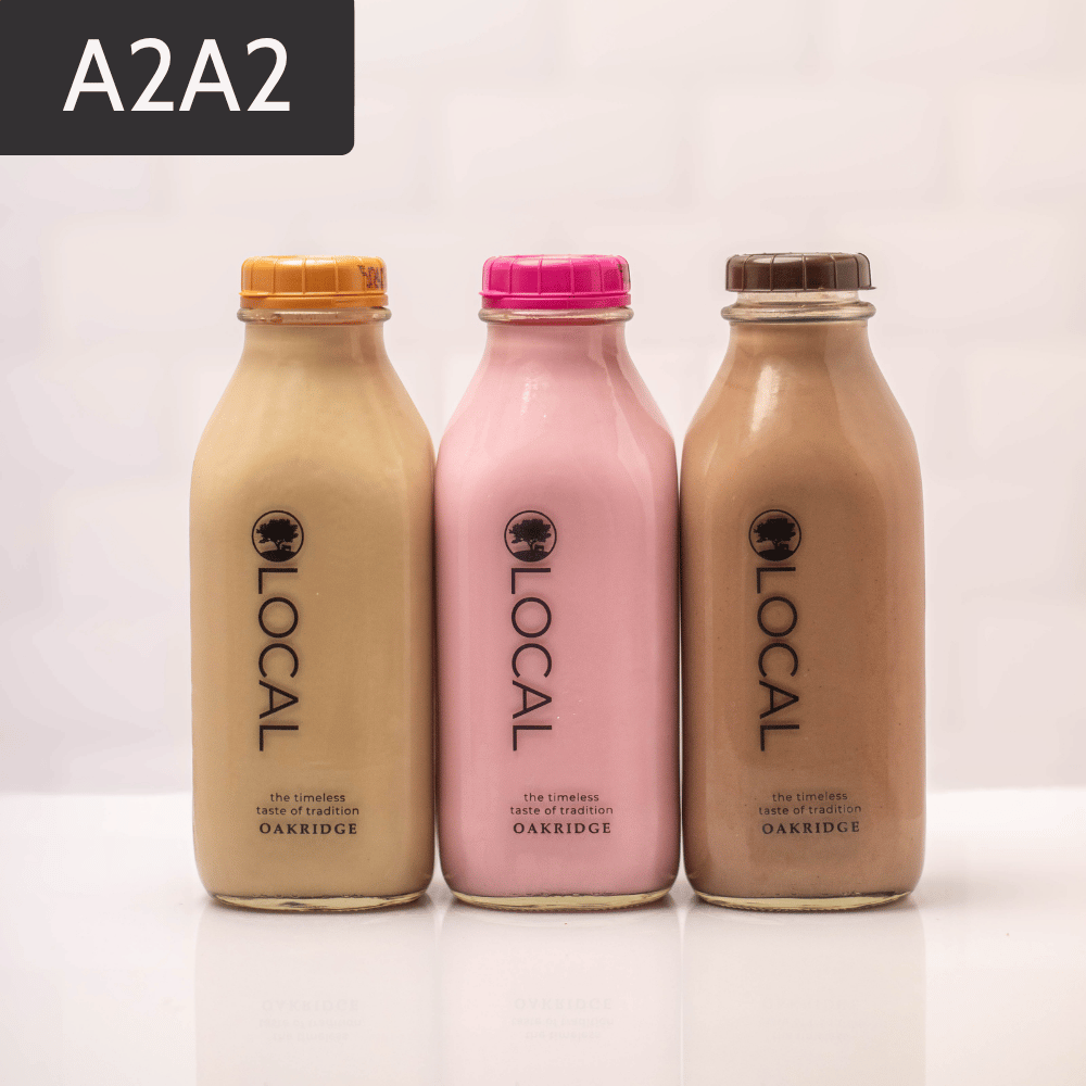Chocolate Strawberry Milk Bundle | Modern Milkman