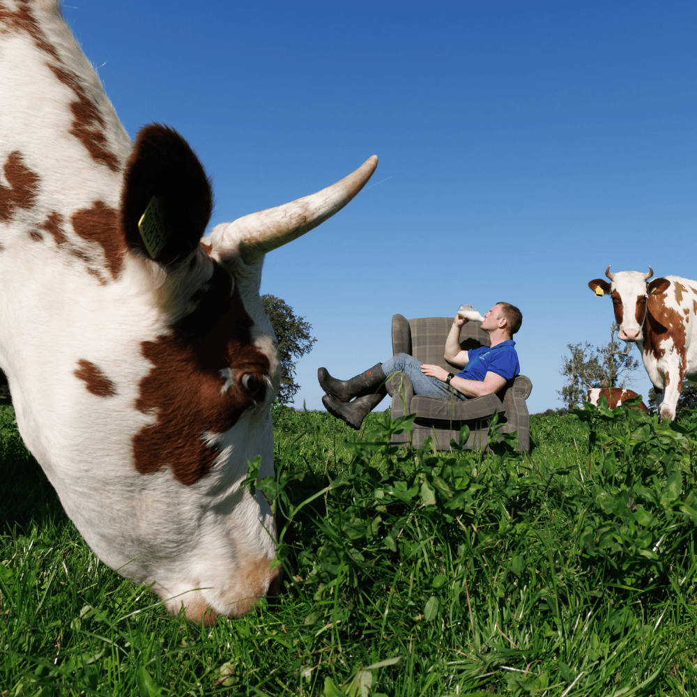 Mossgiel Organic Dairy