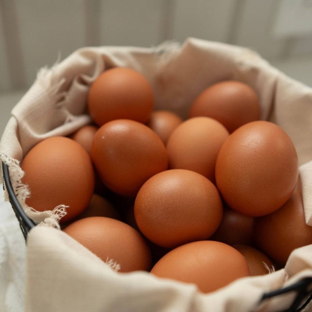 Dairy & Eggs (Category Image)