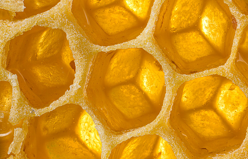 zoomed in image of bee hive