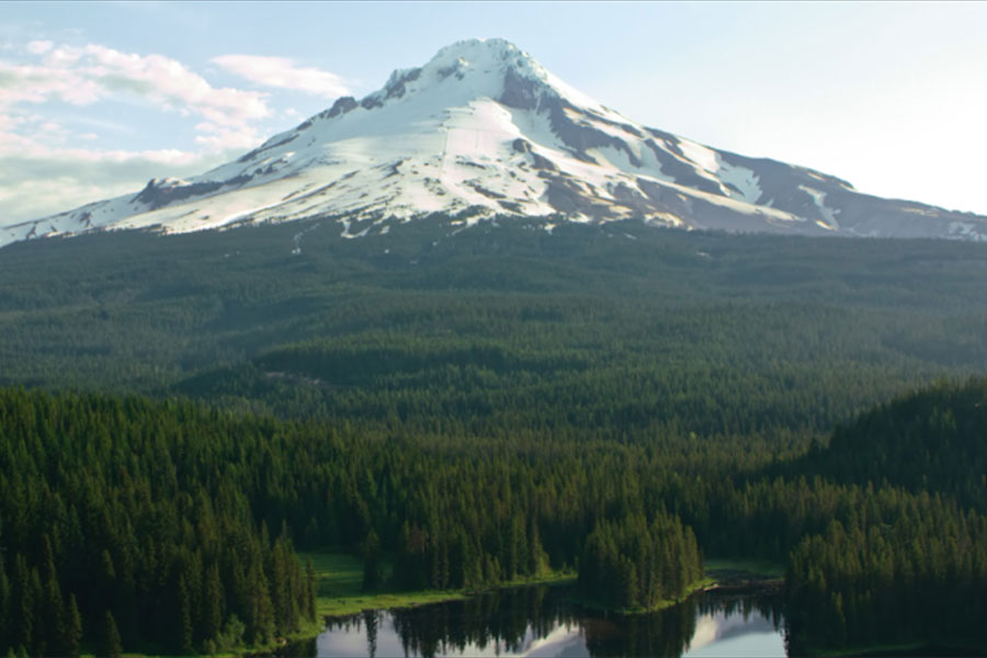 mountains with forrest