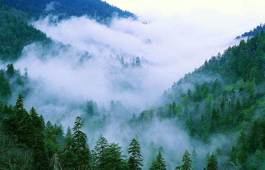 fog in mountains