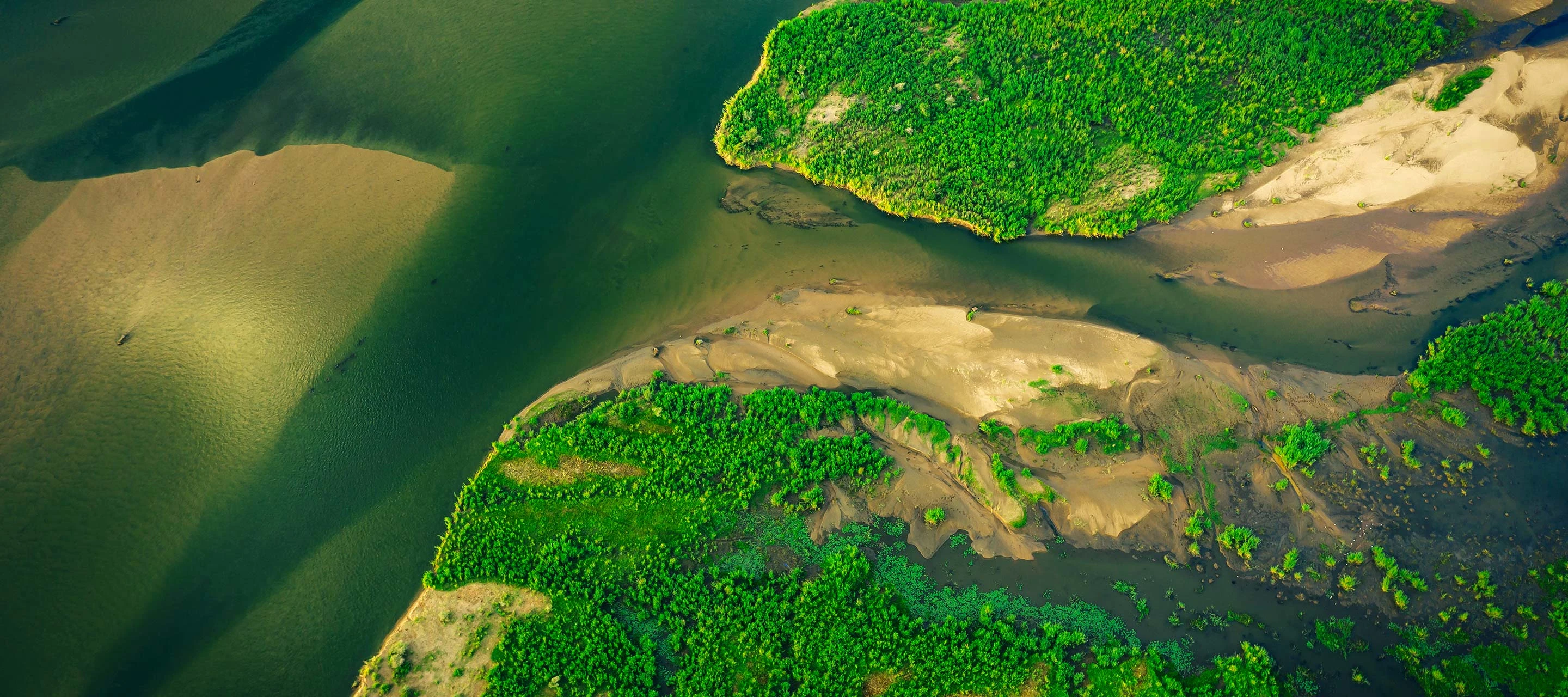 aerial view of green land