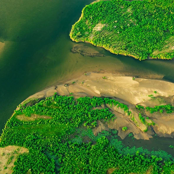 aerial view of green land