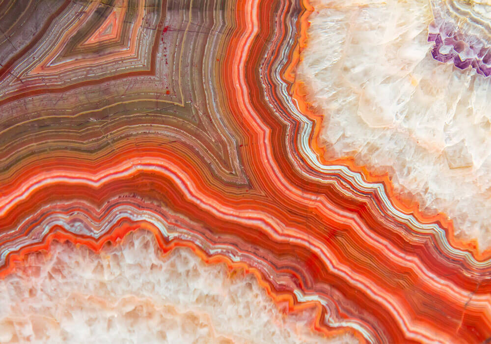 Subscribe to our newsletter - Seeds of Change