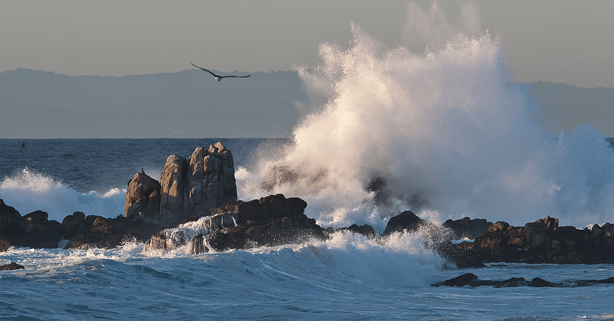 waves crashing against the rocks with a bird flying away