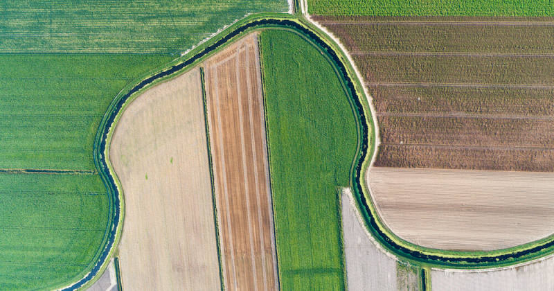 overhead photo of a green landscape