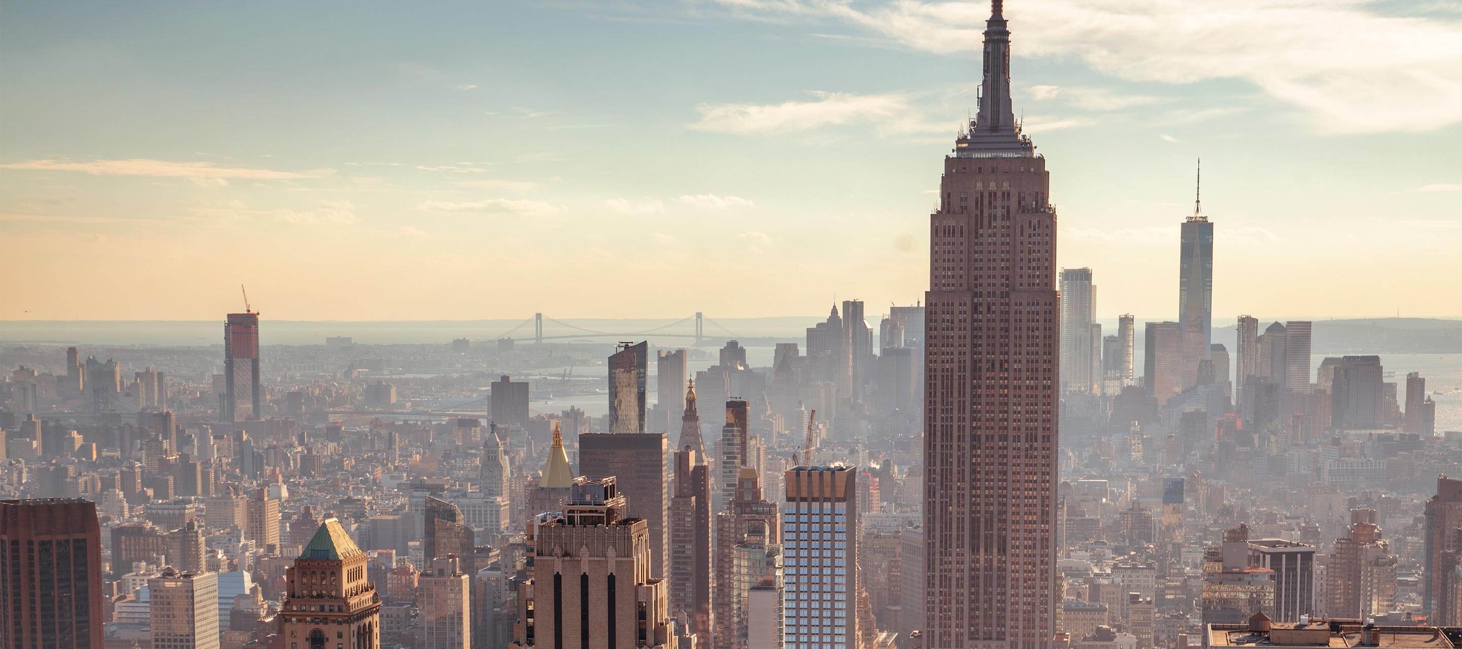 image of city skyscraper tops and pale sky