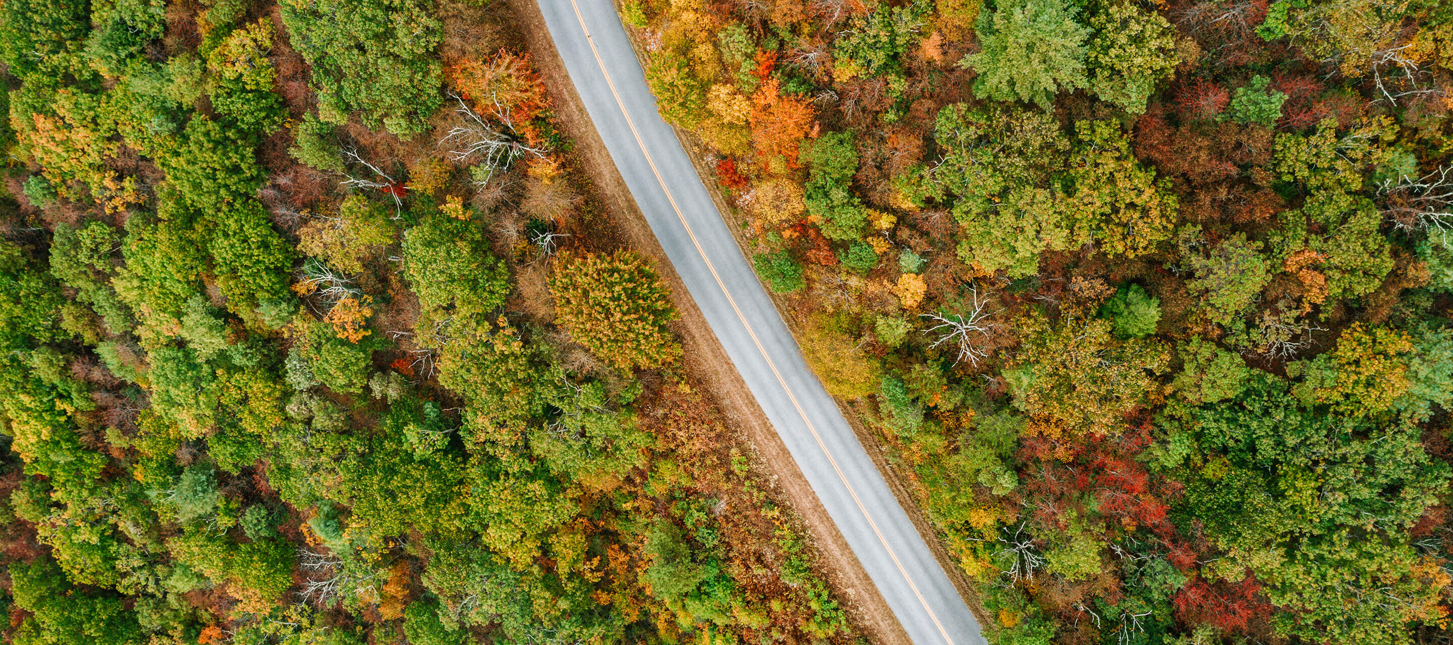 aerial view of Virginia