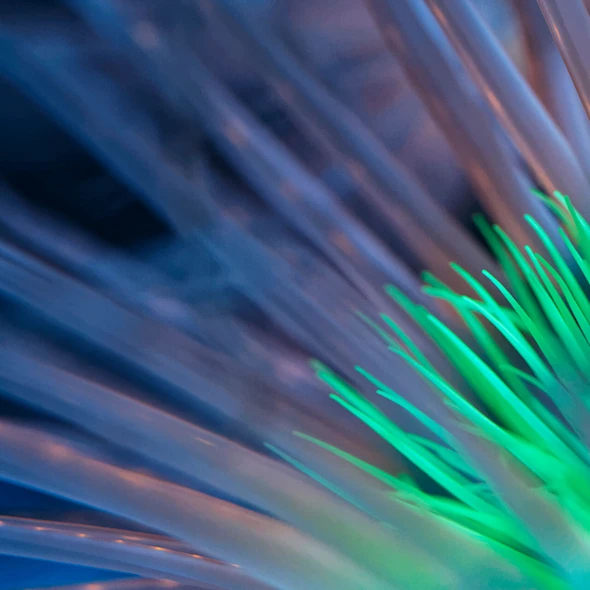 Bioluminescent Anemone