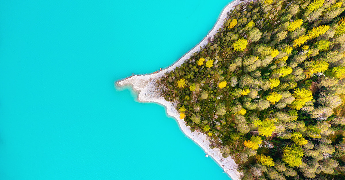 blue water with island of trees