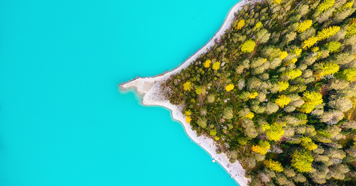 blue water with island of trees