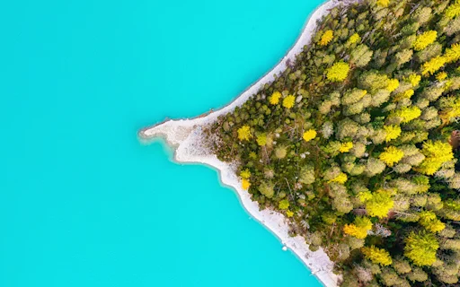 blue water with island of trees