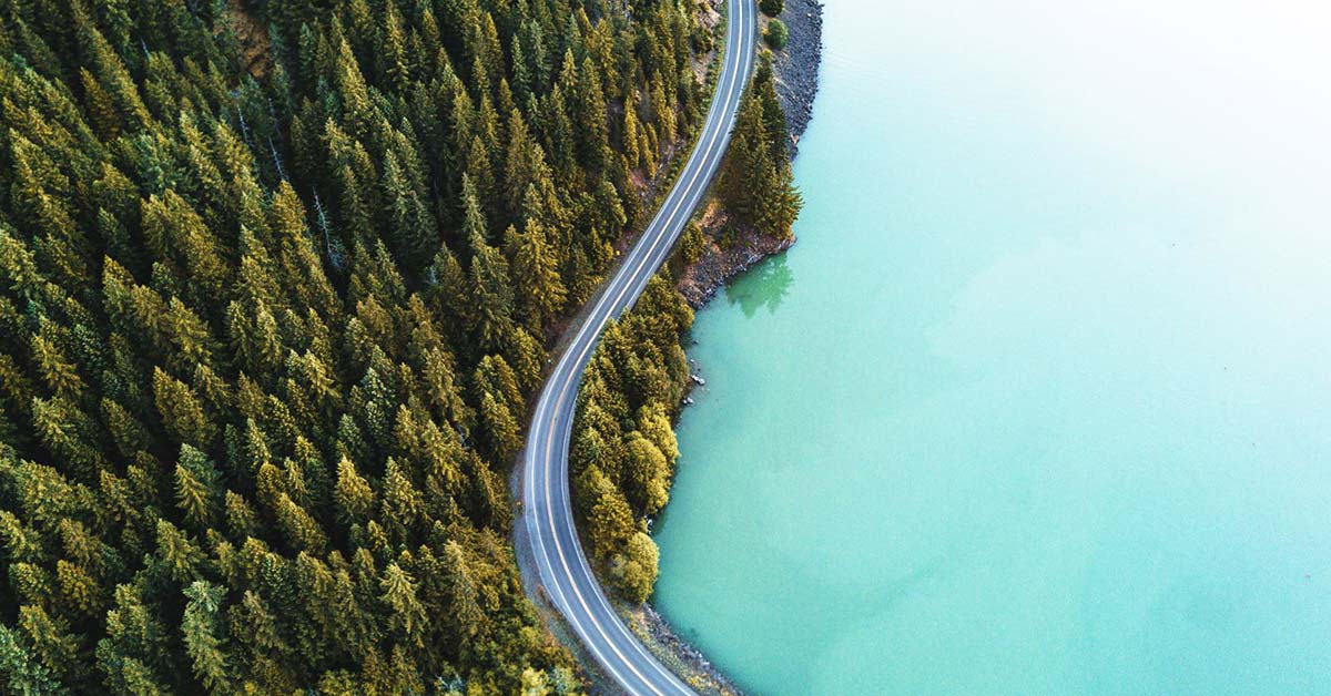 forest, road, body of water