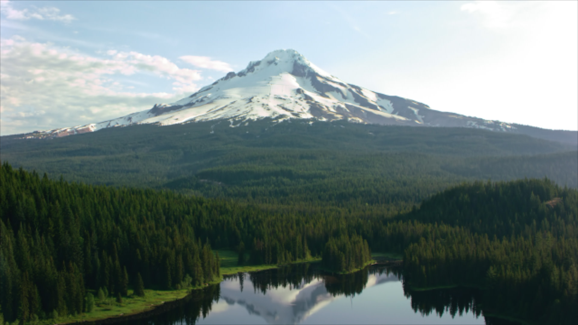 mountain top with forest 