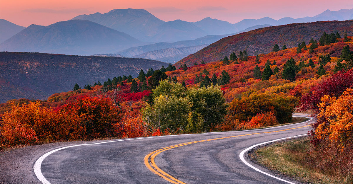 fall foliage 