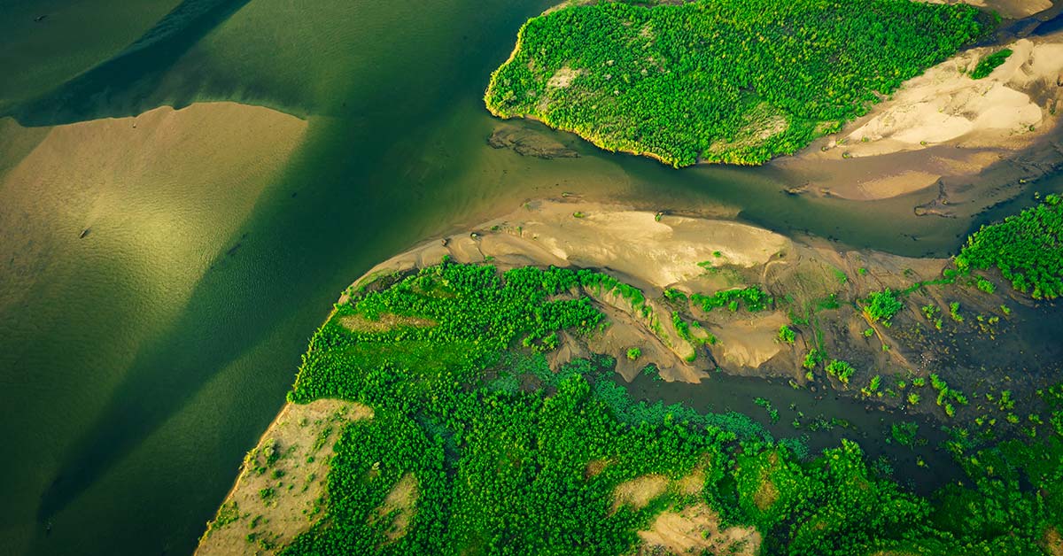 aerial view of green land 