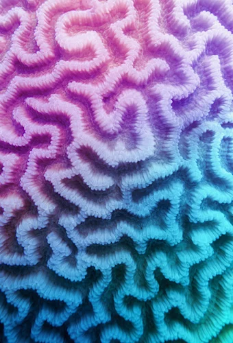 patterns