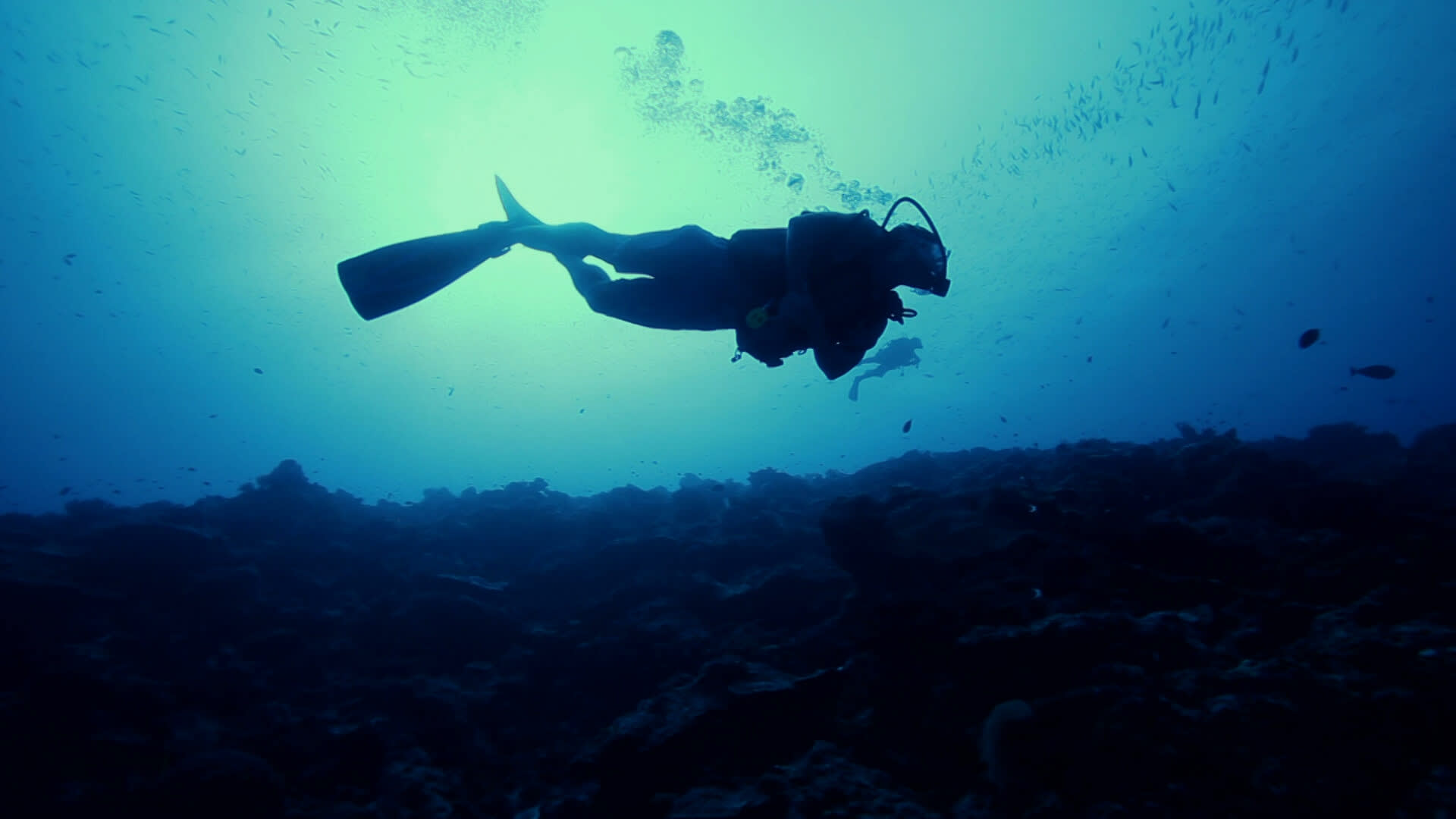 A diver in a underwater surrounding